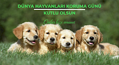4 Ekim Dünya Hayvanları Koruma Günü