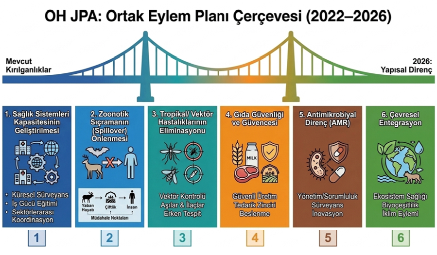 teksaglik-arastirma-ve-incelemeler-mikroptan-makroya-turkiye-i-cin-yeni-bir-tibbi-savunma-doktrini-tek-saglik-2.png