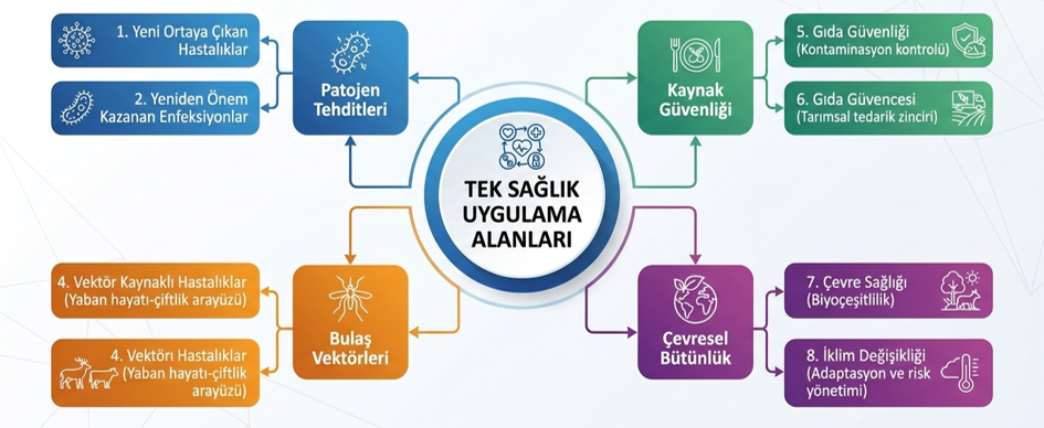 teksaglik-arastirma-ve-incelemeler-mikroptan-makroya-turkiye-i-cin-yeni-bir-tibbi-savunma-doktrini-tek-saglik-3.png