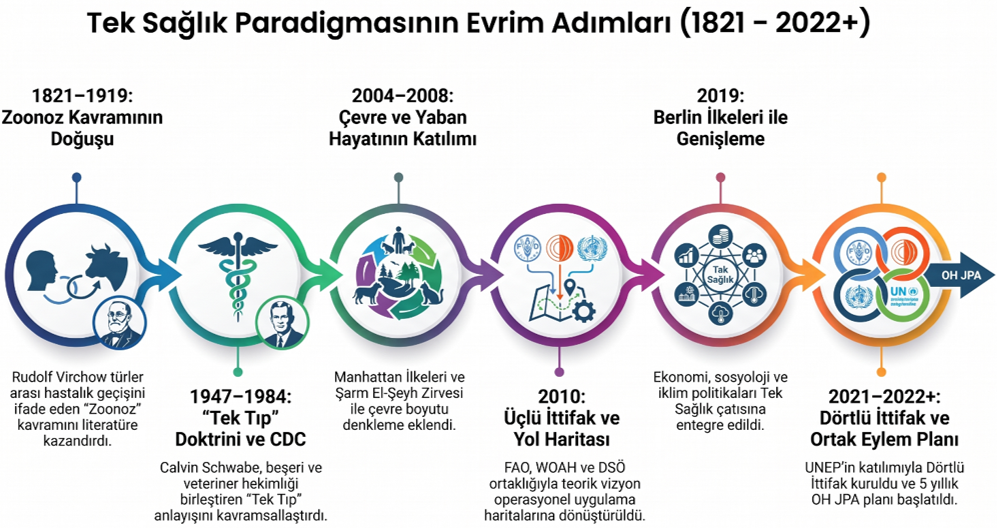 teksaglik-arastirma-ve-incelemeler-mikroptan-makroya-turkiye-i-cin-yeni-bir-tibbi-savunma-doktrini-tek-saglik.png