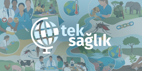 Siteyi Neden Yaptım…