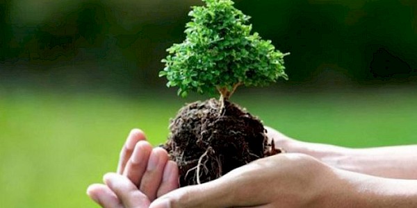 Egzersizin Önlediği Hastalıklar