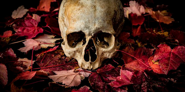 Mors Nigra – Kara Ölüm