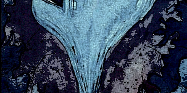 Covıd-19 ile Nasıl Başedelim? Alternatif Bir Bakış