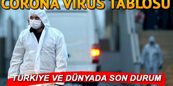 Türkiye ve Dünyada Koronavirüs (Covid-19) Salgınında Son 5 ayın değerlendirilmesi (11 Mart - 31 Temmuz 2020)
