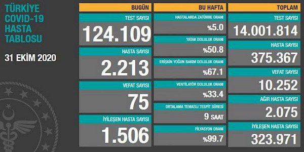 Dünyada ve Türkiye’de Koronavirüs’te son durum (31.10.2020)