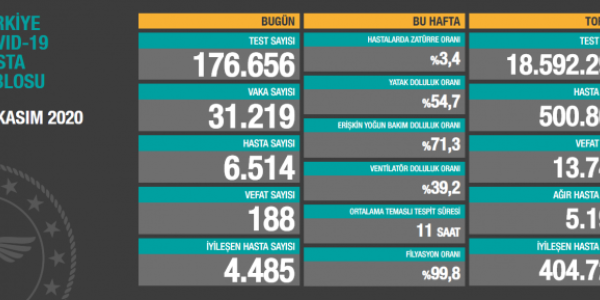 Dünyada ve Türkiye’de Koronavirüs Salgınında Son Durum (30 Kasım 2020)