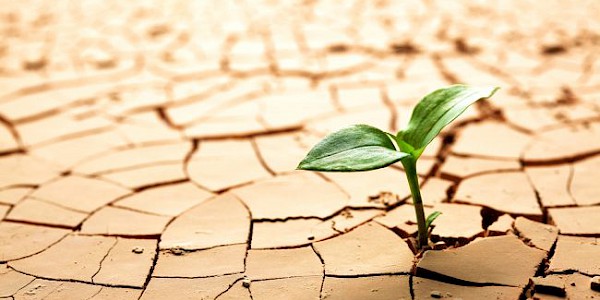 Lancet'in 2020 Raporu: Dünyada 101 ülkeden 50'sinin “Sağlık ve İklim Değişikliği Planı” yok!